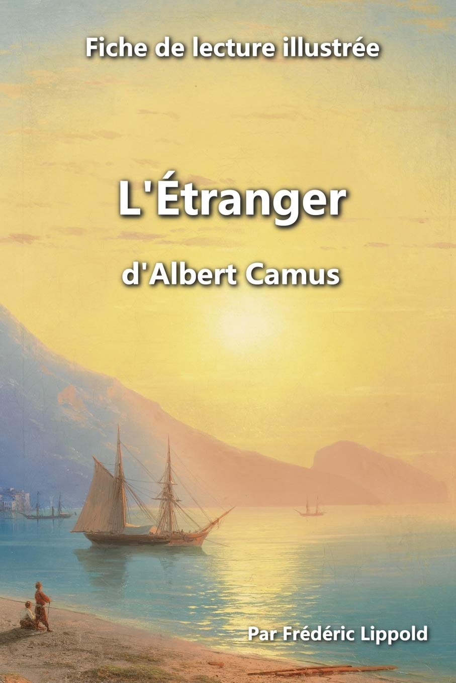 Fiche de lecture illustrée - L'Étranger, d'Albert Camus book