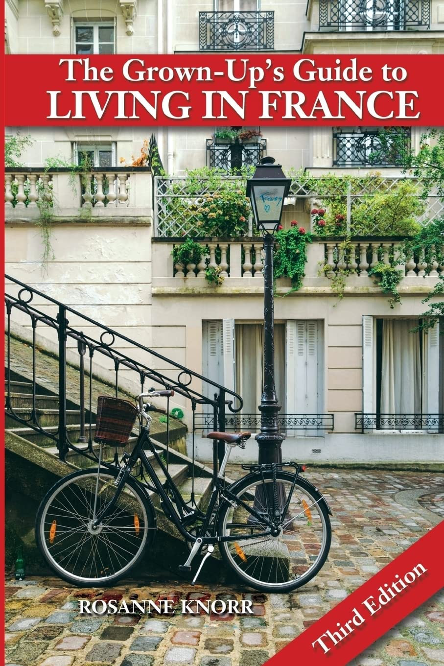 The Grown-Up's Guide to Living in France: Third Edition Politics & History
