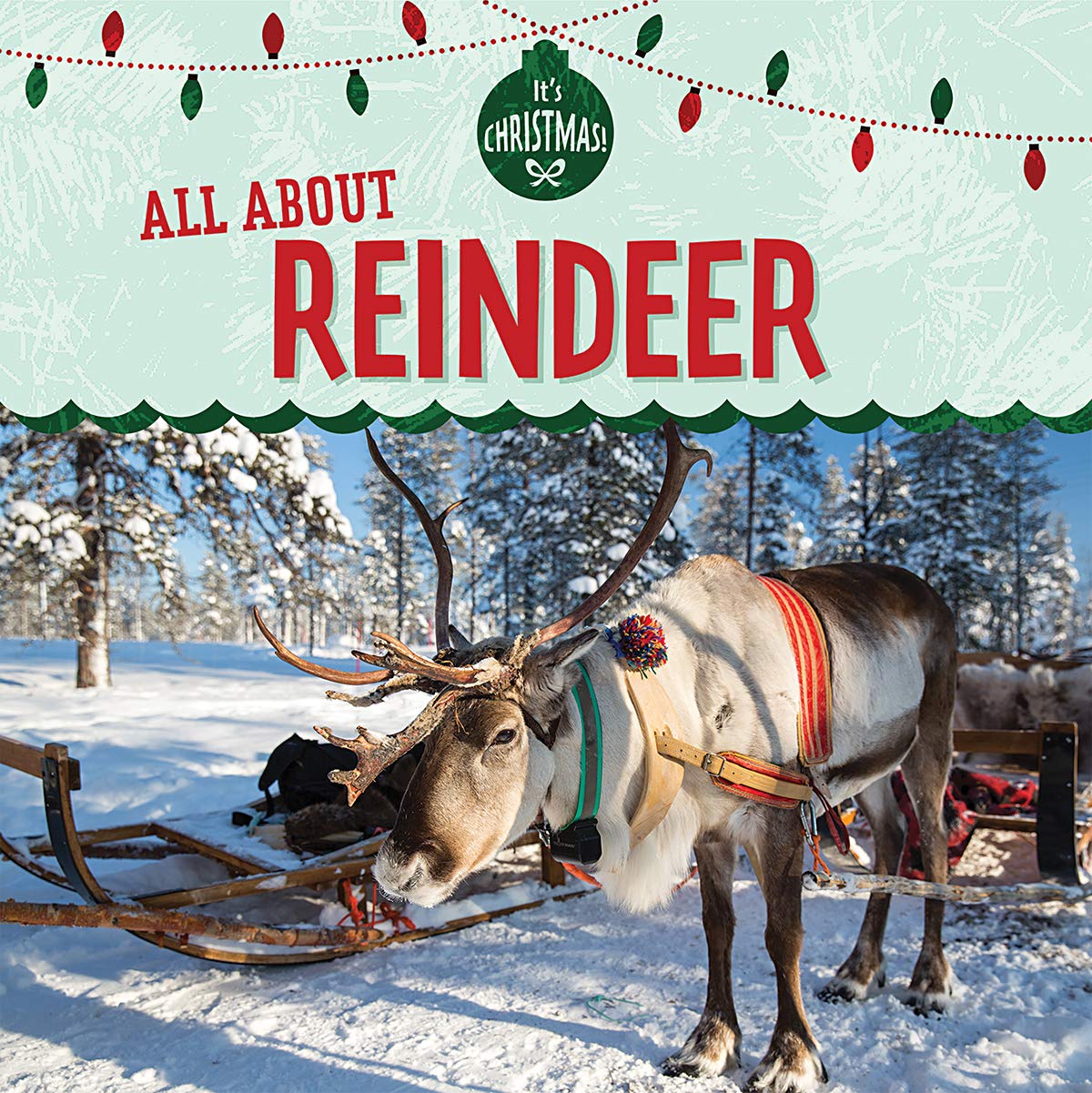 All About Reindeer (It's Christmas!) Religion & Esotericism