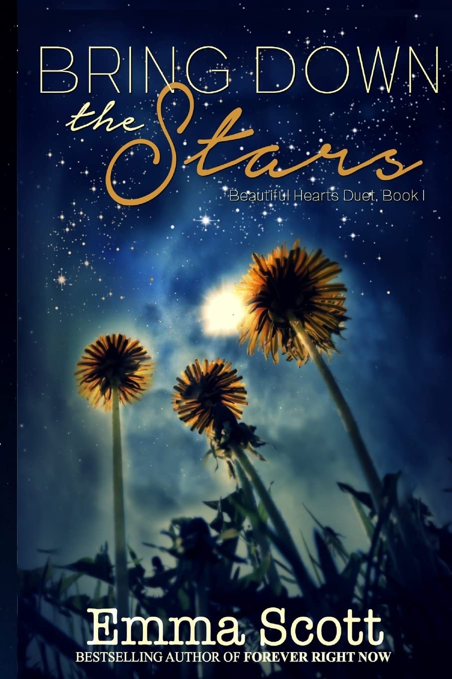 Bring Down the Stars (Beautiful Hearts Duet, Band 1) New Adult