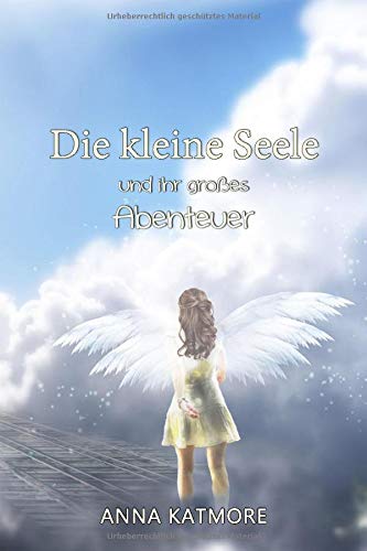 Die kleine Seele und ihr großes Abenteuer book