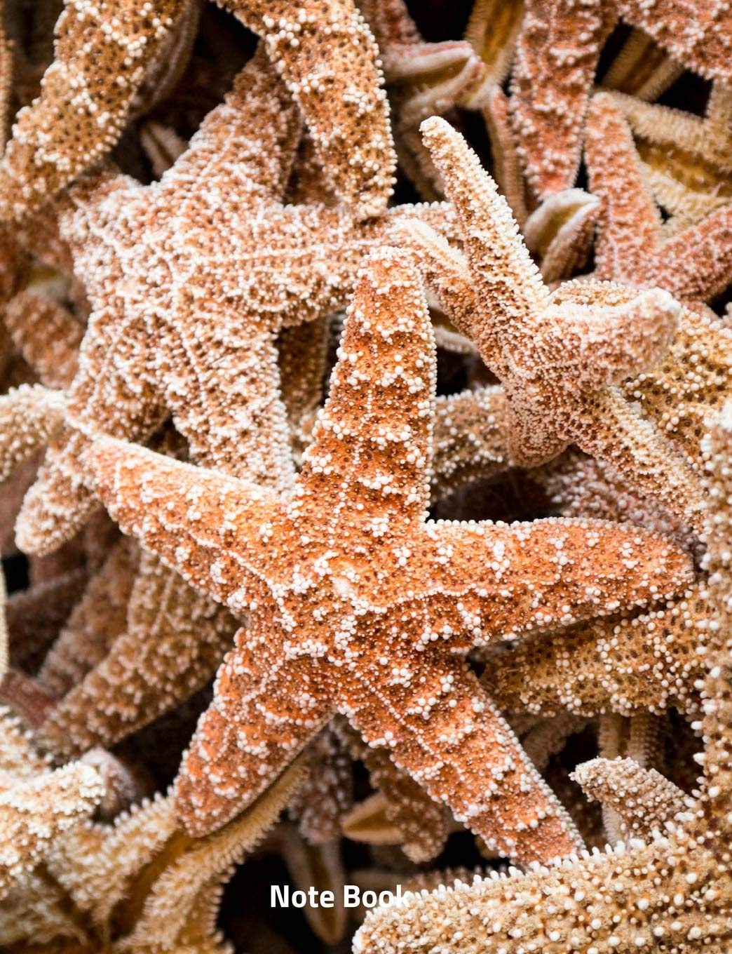 Note Book: Starfishes on a beach, Writing Book, Wide lined, 200 paged 7.44" x 9.69" Essays & Short Stories