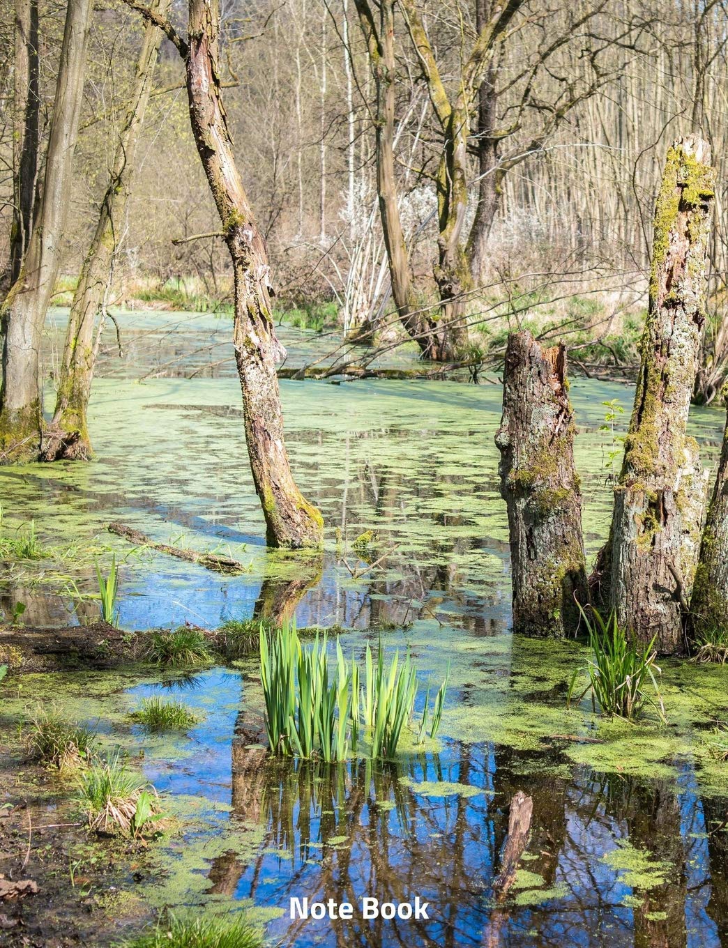 Note Book: Trees in the Swamp, Writing Book, Wide lined, 200 paged 7.44" x 9.69" Essays & Short Stories