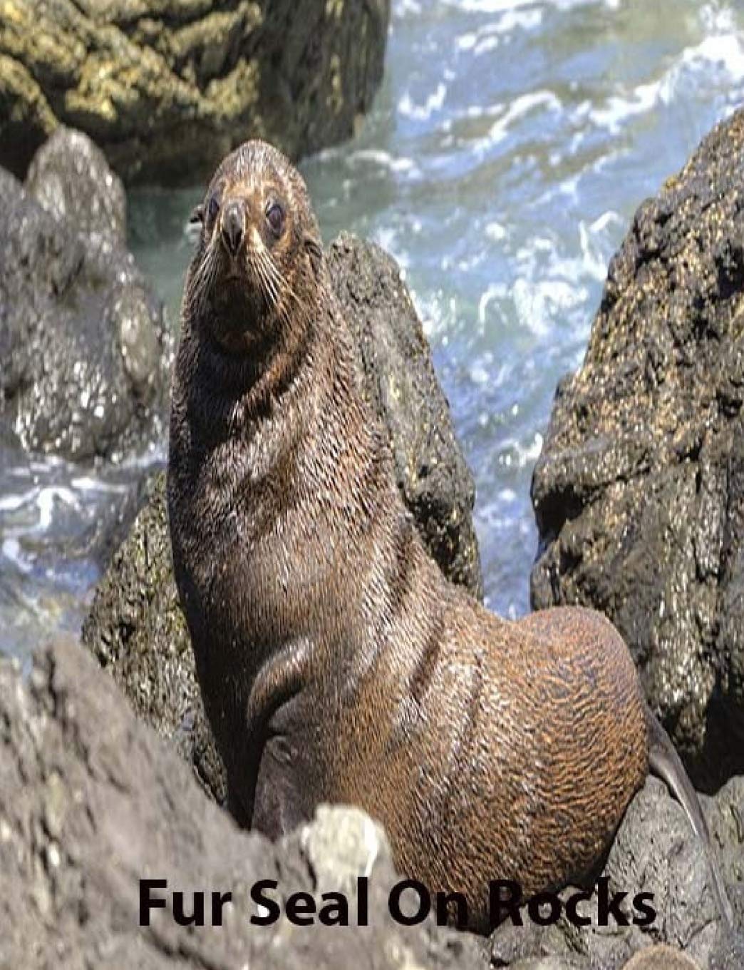 Fur Seal on Rocks collegereuledlinepaper Composition Book: Seal fans, composition book to keep notes, school suppies, journal used for notes, student and teacher use (Seal Journals, Band 23) Learning & Reference