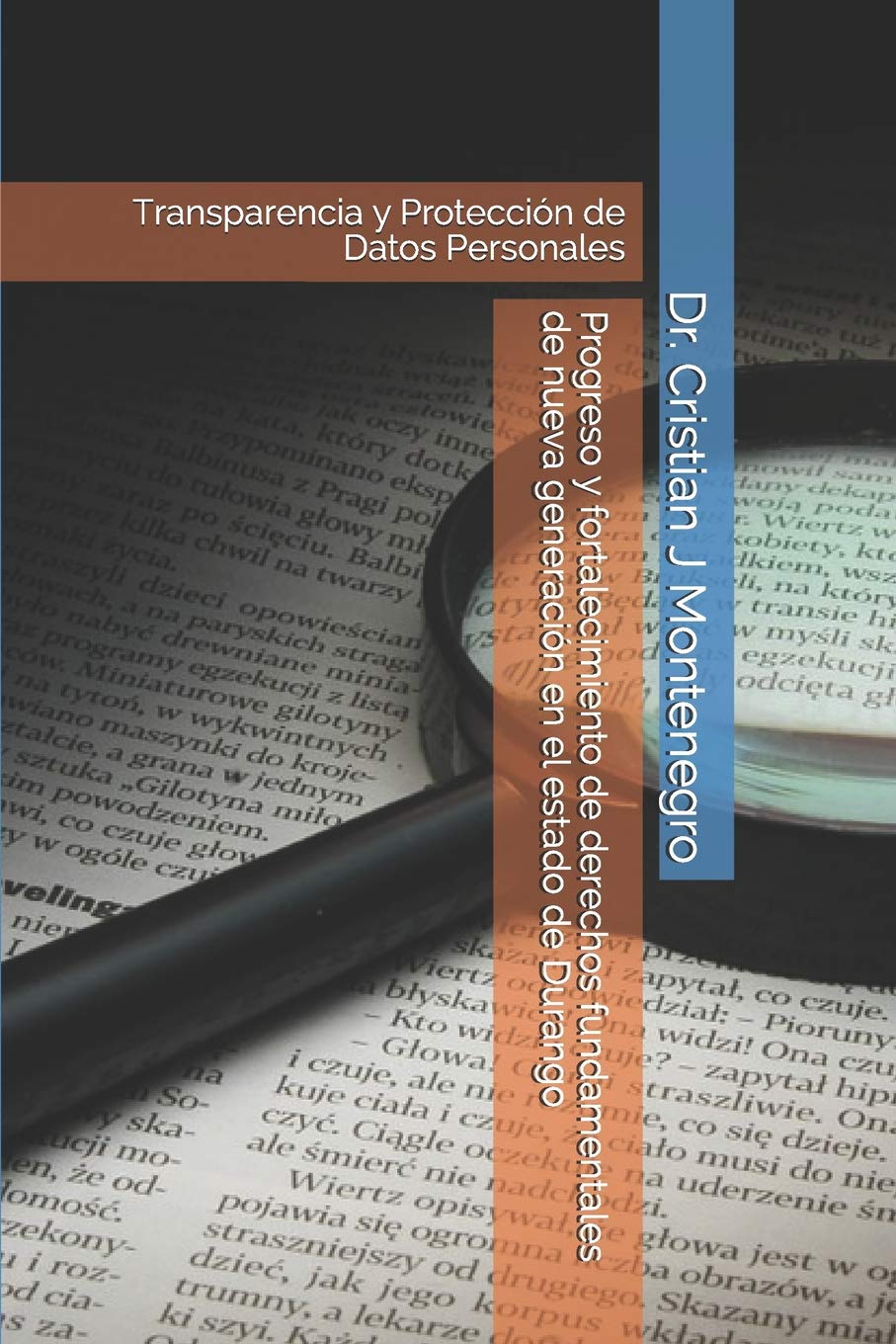 Progreso y fortalecimiento de derechos fundamentales de nueva generación en el estado de Durango: Transparencia y Protección de Datos Personales (1, Band 1) Law
