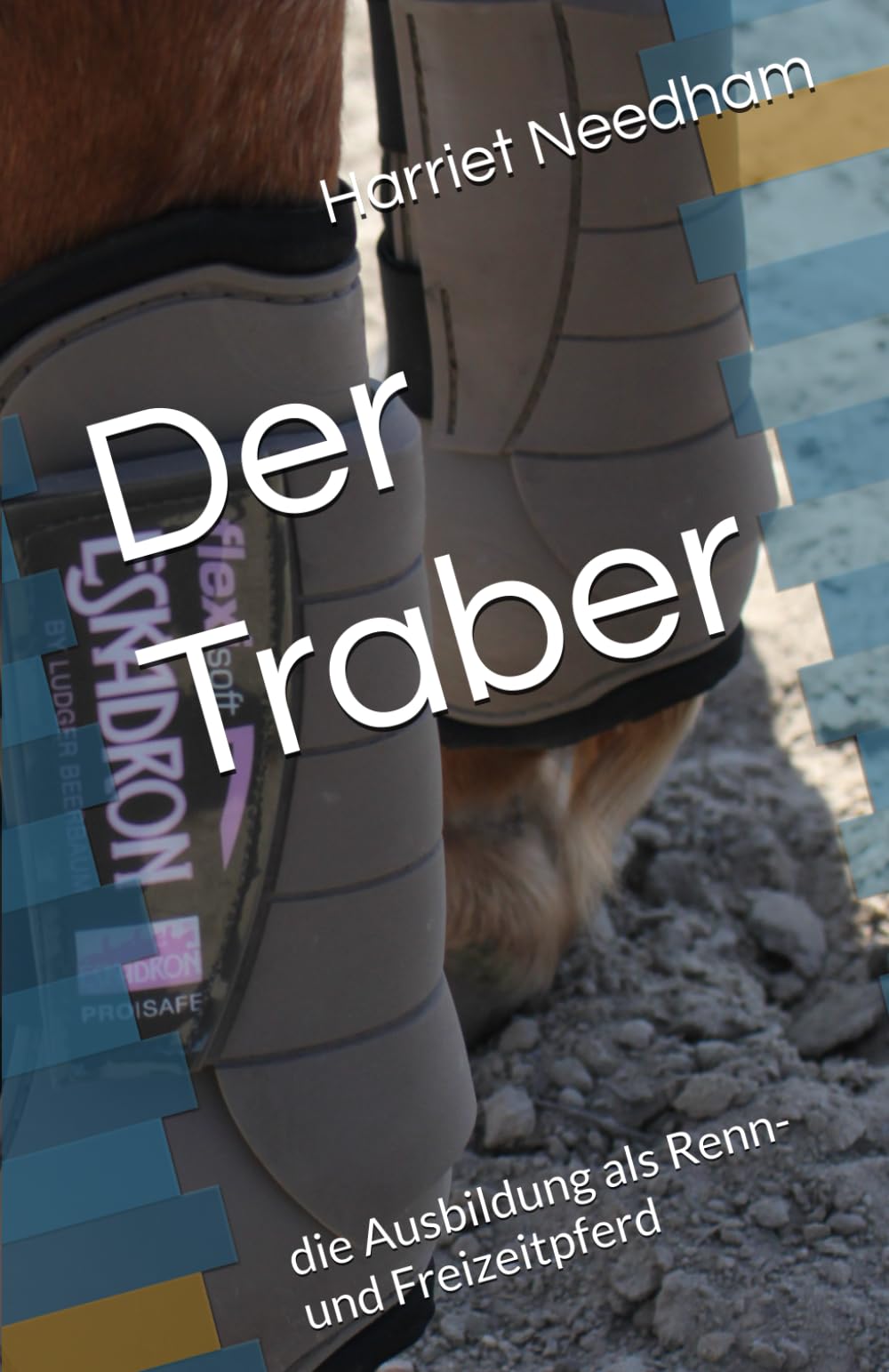 Der Traber: die Ausbildung als Renn- und Freizeitpferd Leisure & Fun