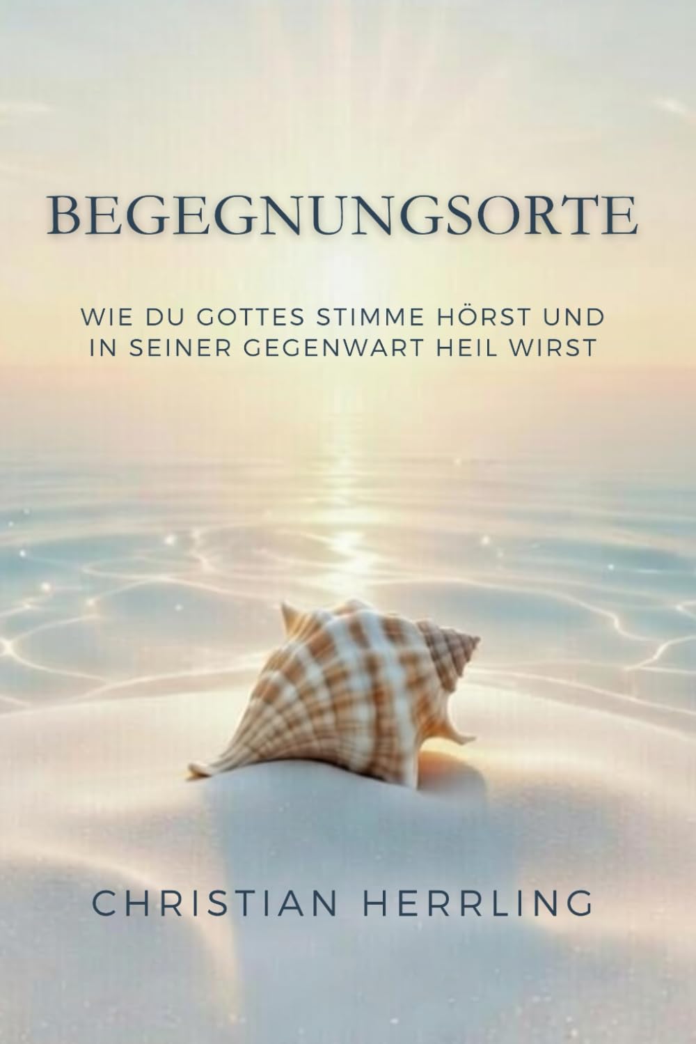 Begegnungsorte: Wie du Gottes Stimme hörst und in seiner Gegenwart heil wirst book