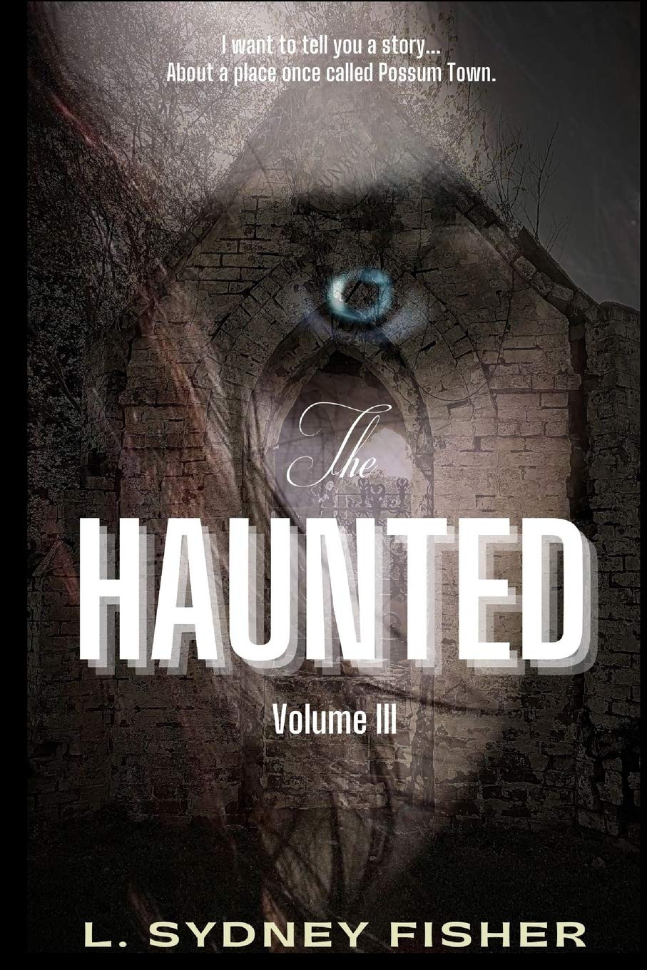 The Haunted: Possum Town: A Haunted History Series Book 3 Religion & Esotericism