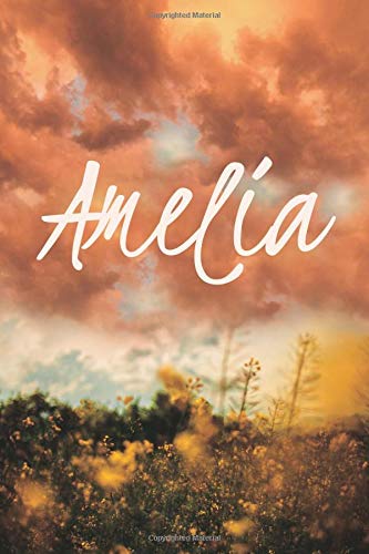 Amelia: Sunset Flowers Personalized Name Journal, 6x9 MATTE Cover CREAM Journal Paper 150 Pages Learning & Reference