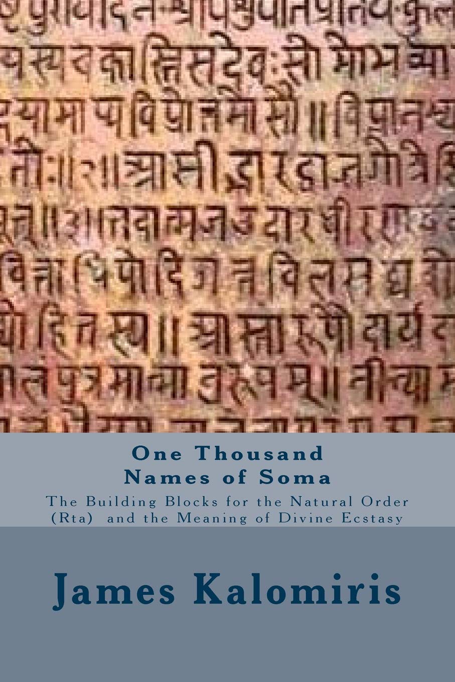 One Thousand Names of Soma: The Building Blocks for the Natural Order (Rta) and the Meaning of Divine Ecstasy (The Secret History of the Rig Veda,, Band 2) Religion & Esotericism