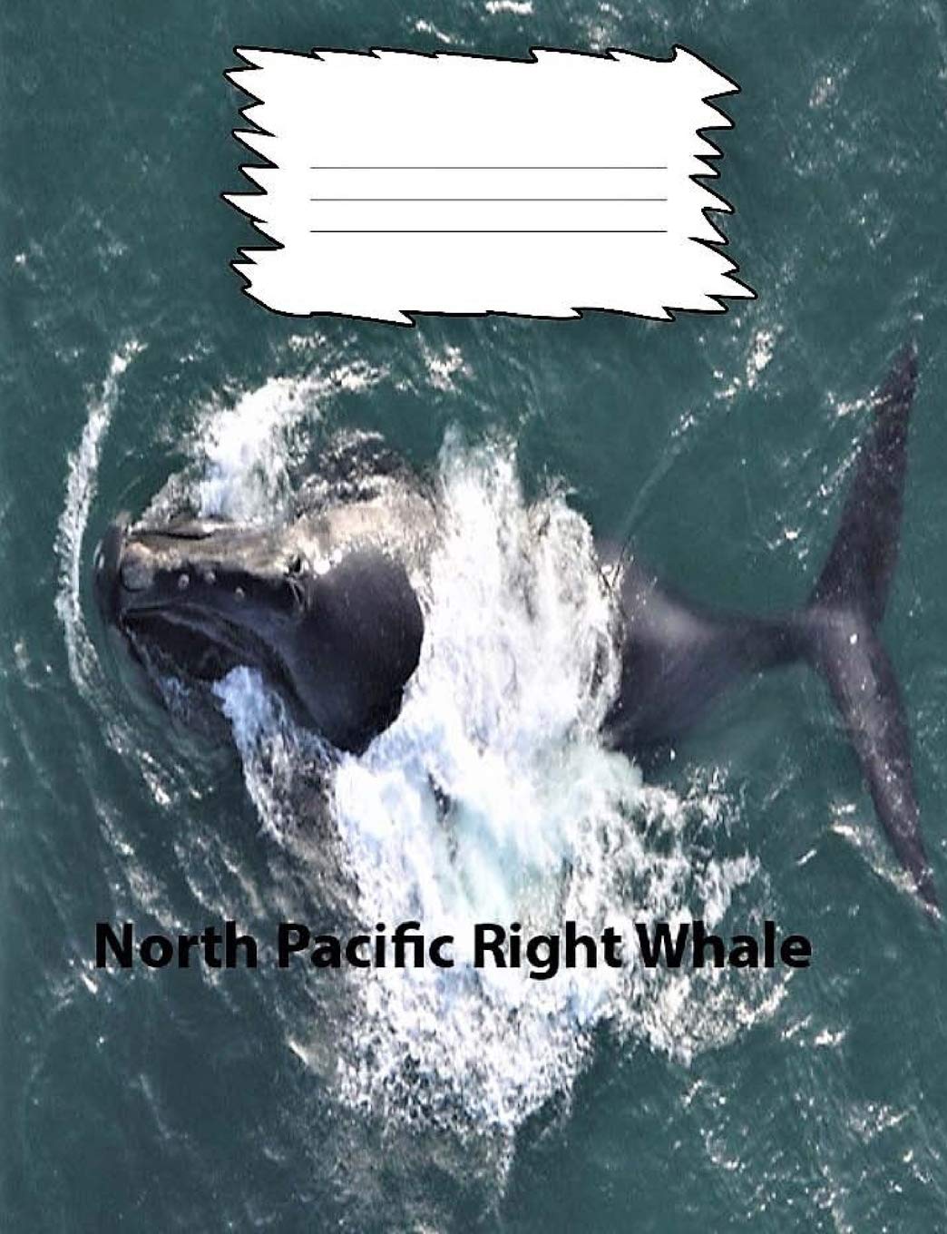 North Pacific Right Whale wideruledlinepaper Composition Book: Whale fans, elementary students, elderly notebooks, teen journals, visual impaired (whales, Band 48) Learning & Reference