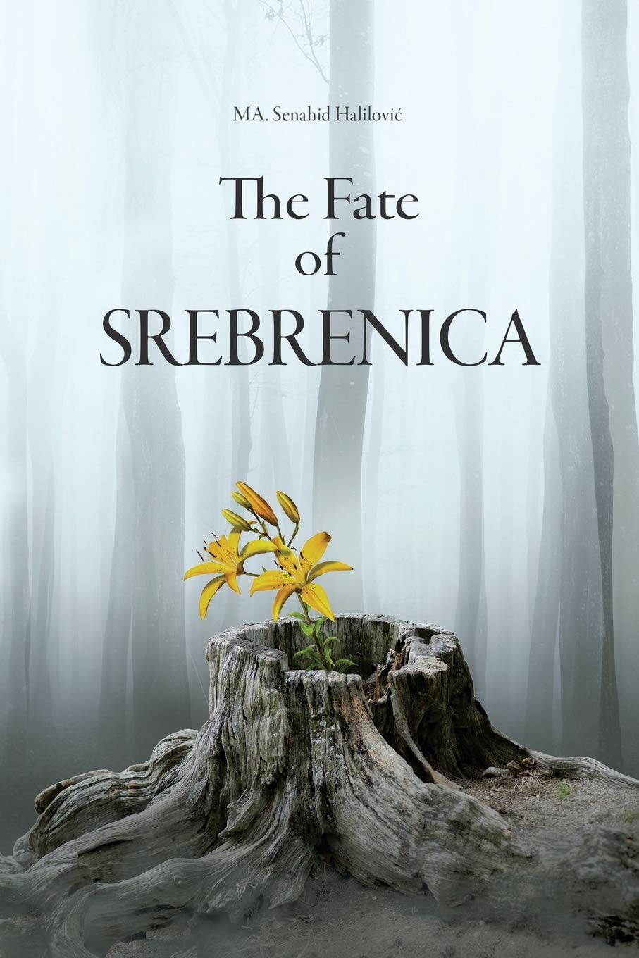 The Fate Of Srebrenica Contemporary literature