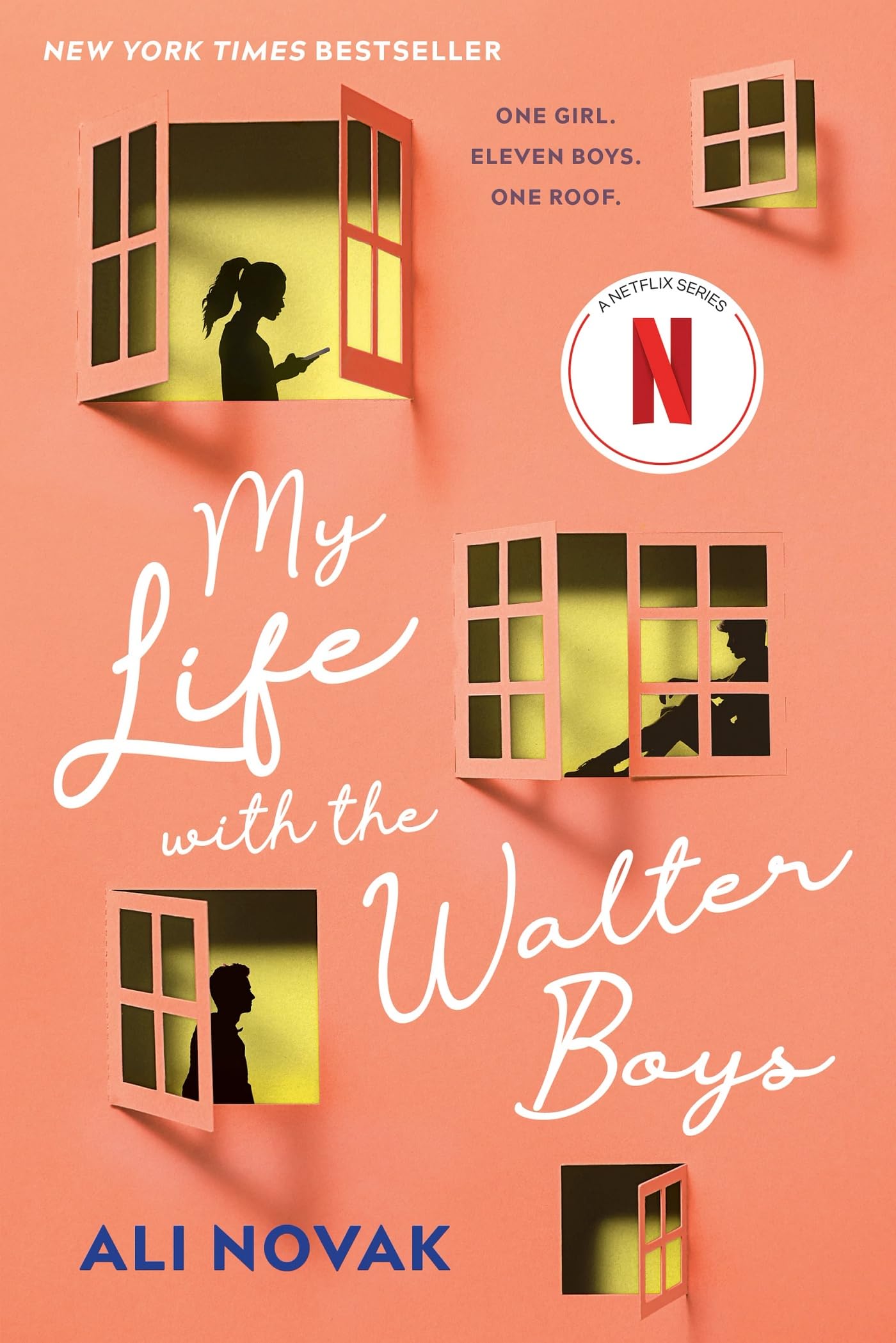 My Life with the Walter Boys Eroticism