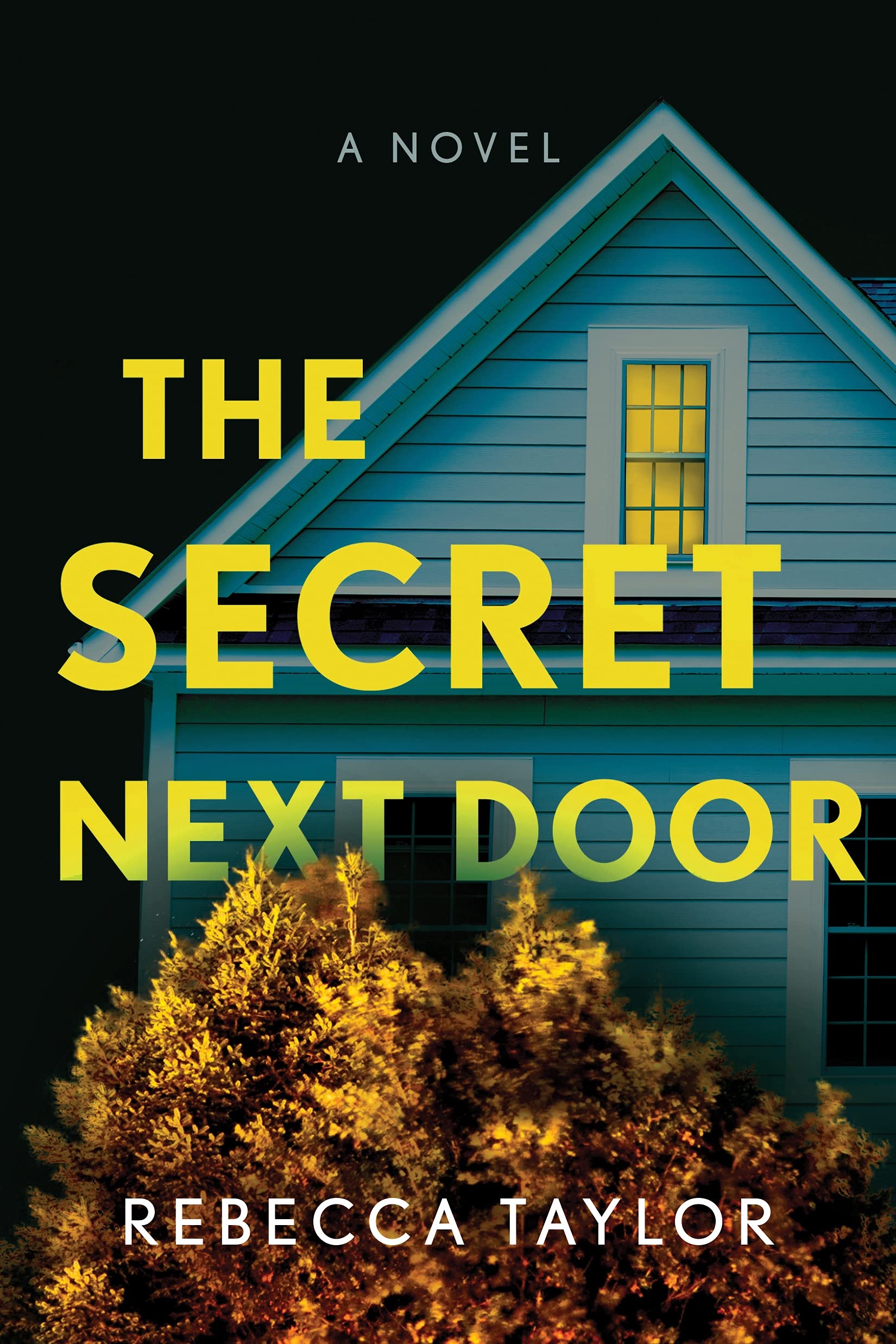 The Secret Next Door: A Novel book