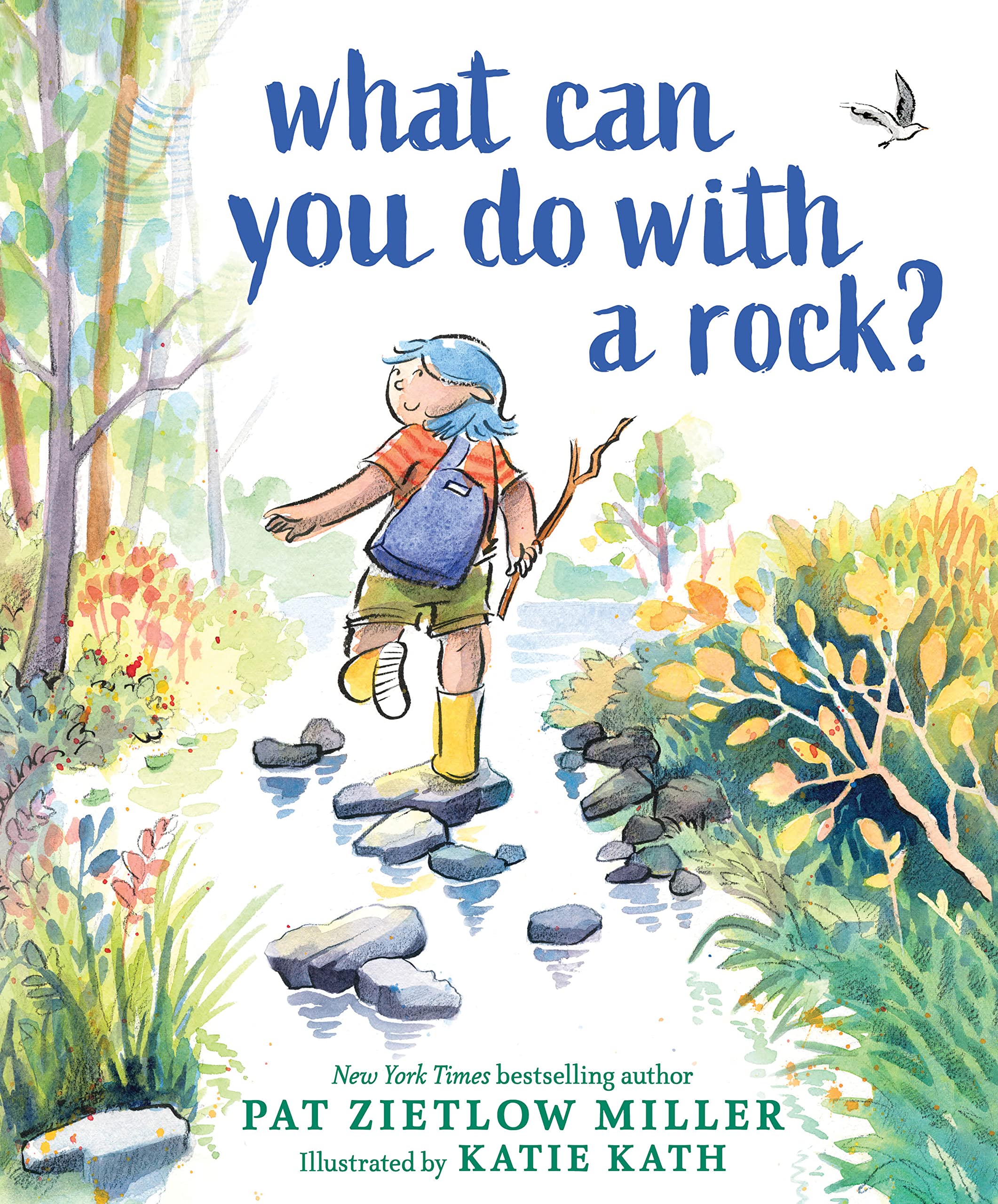 What Can You Do with a Rock? Non-fiction