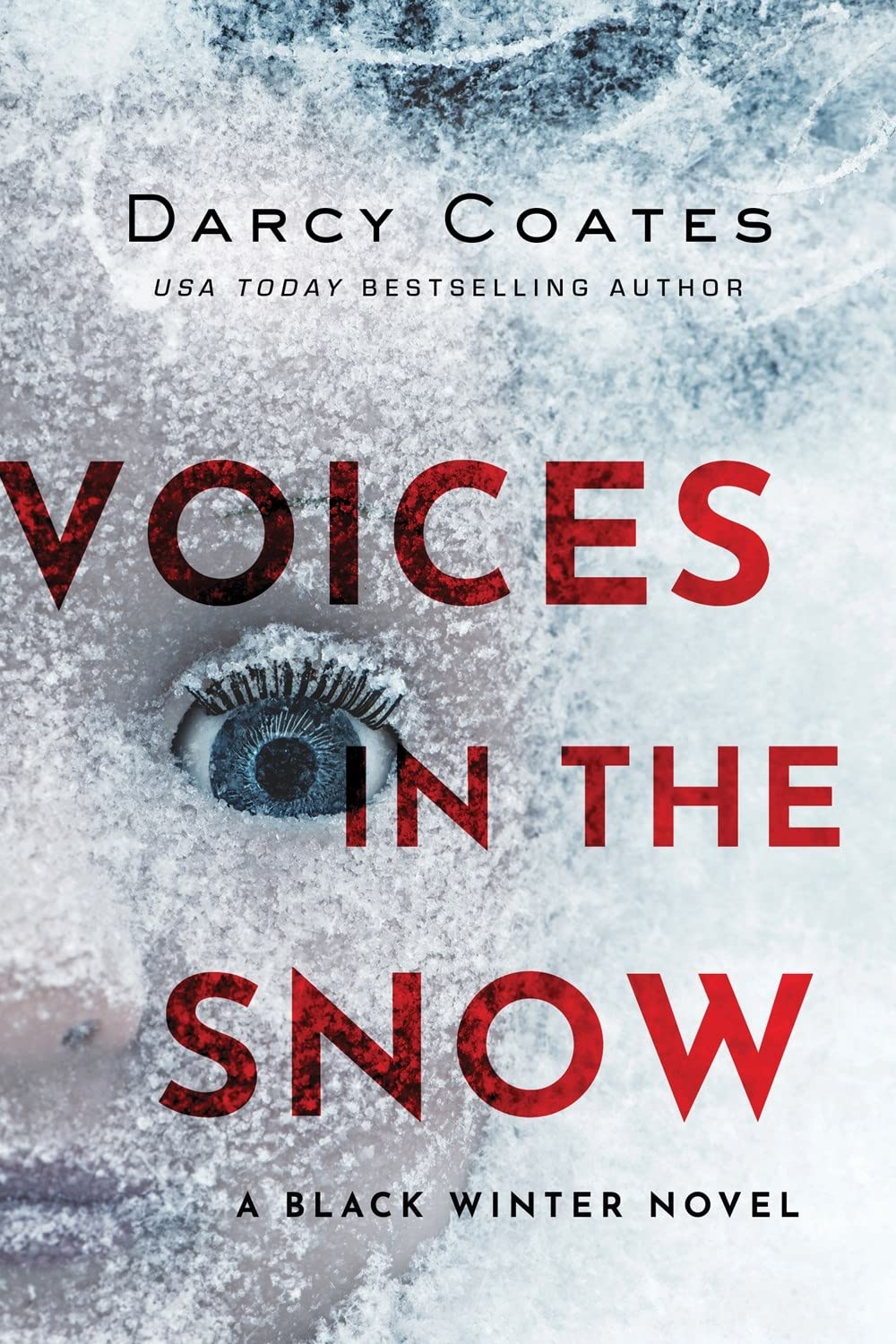 Voices in the Snow (Black Winter, 1, Band 1) Action & Adventure