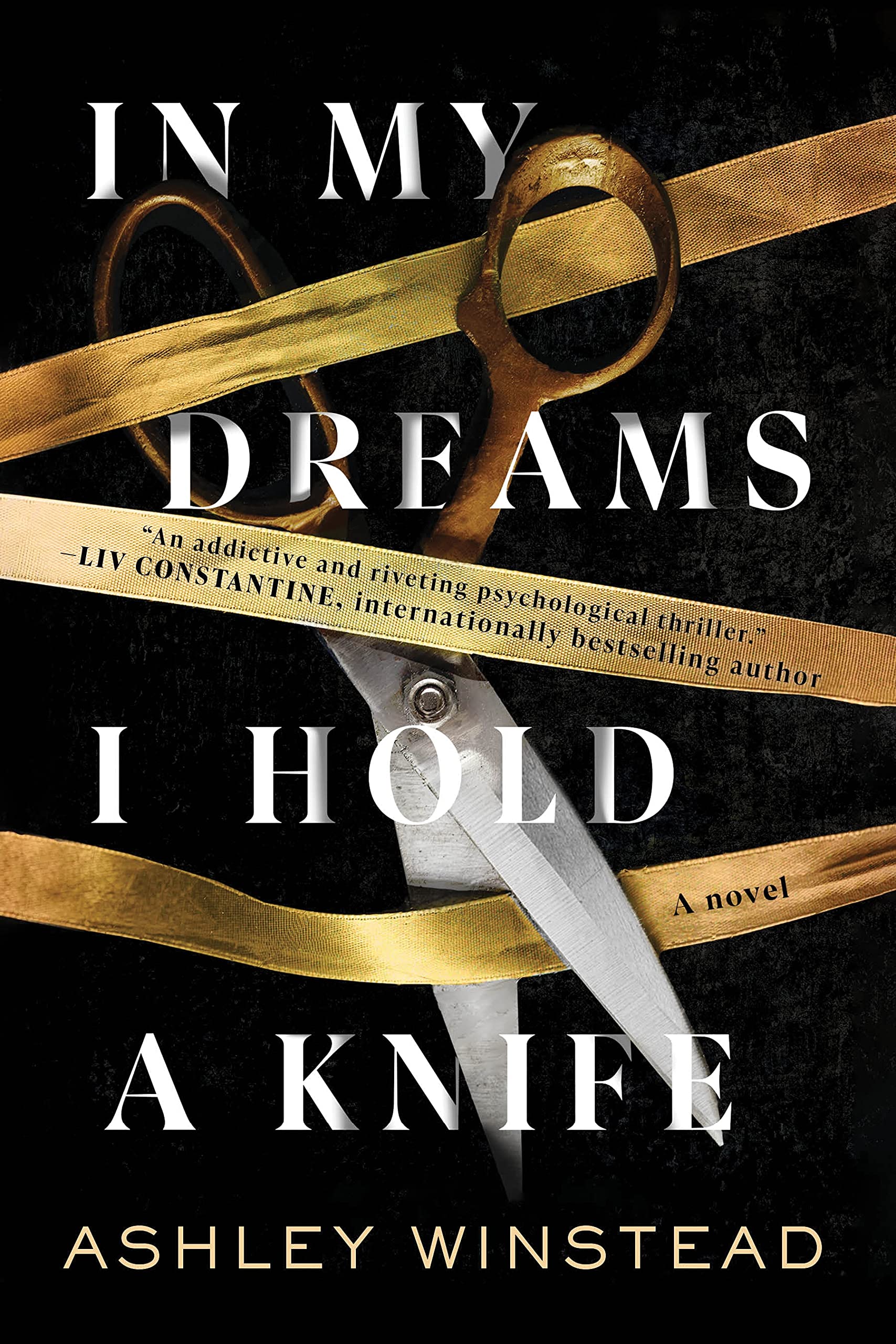 In My Dreams I Hold a Knife: A Novel Action & Adventure