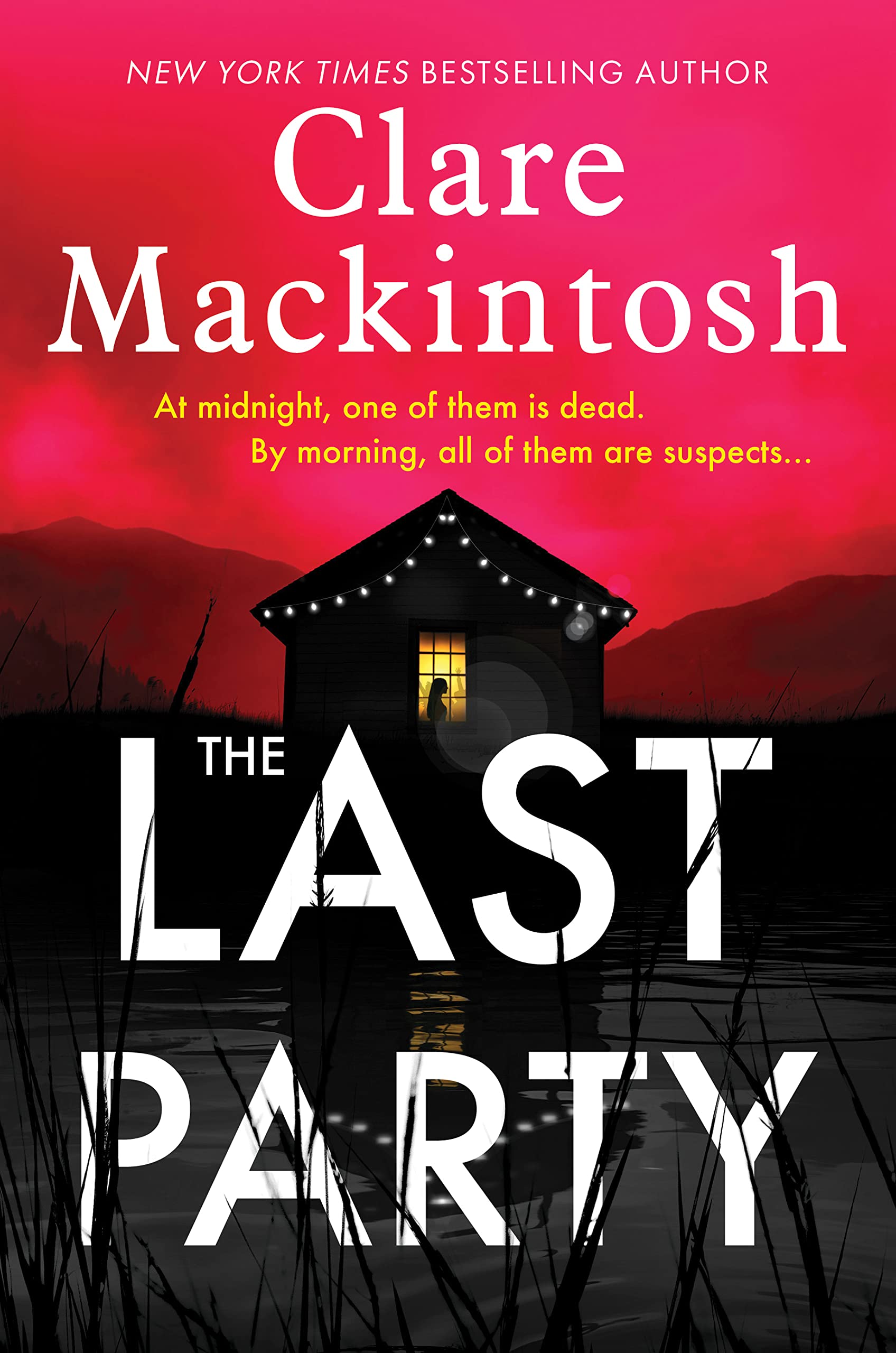 The Last Party (Dc Morgan) Contemporary literature