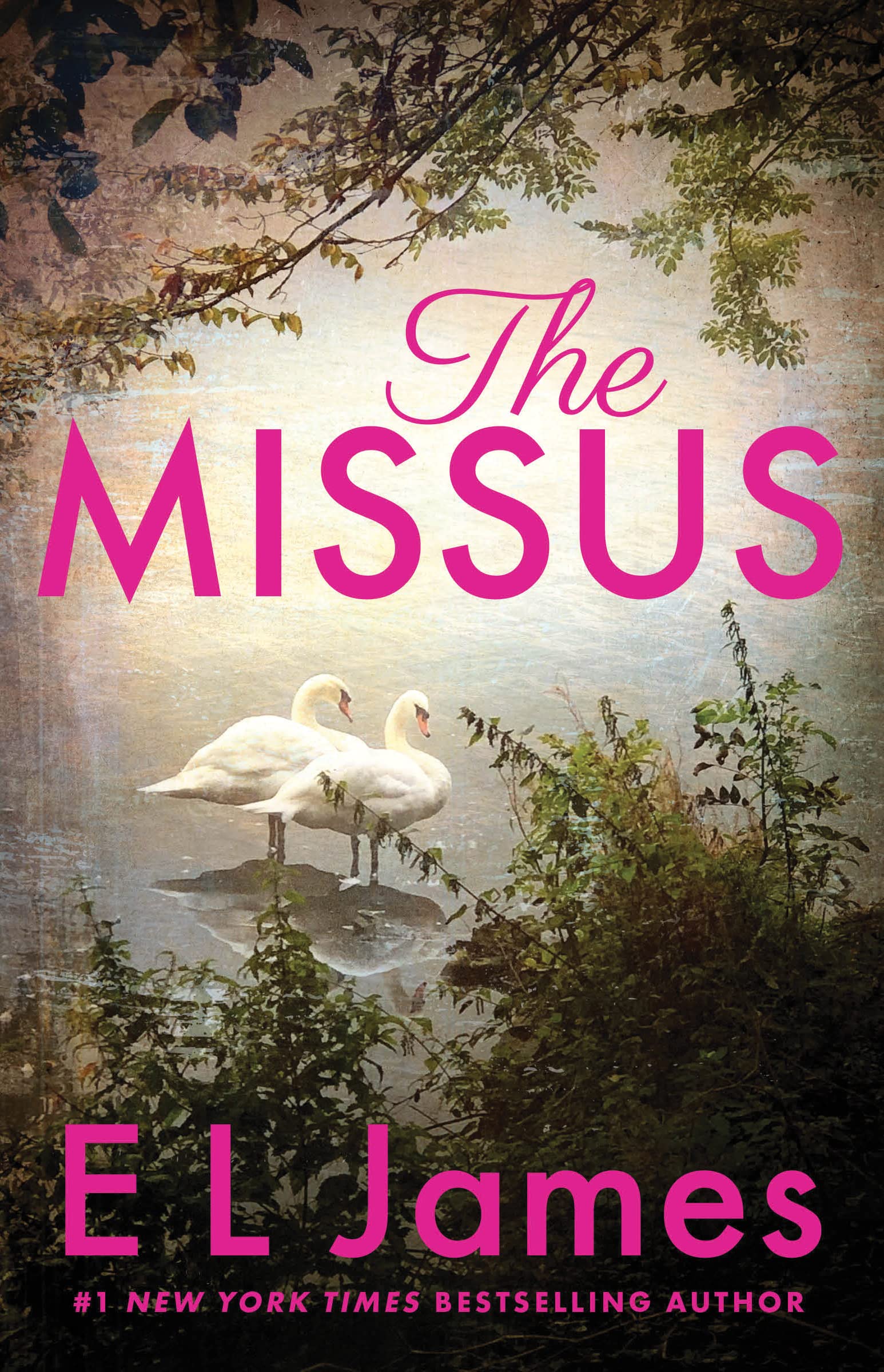The Missus (Mister & Missus, 2) Contemporary literature