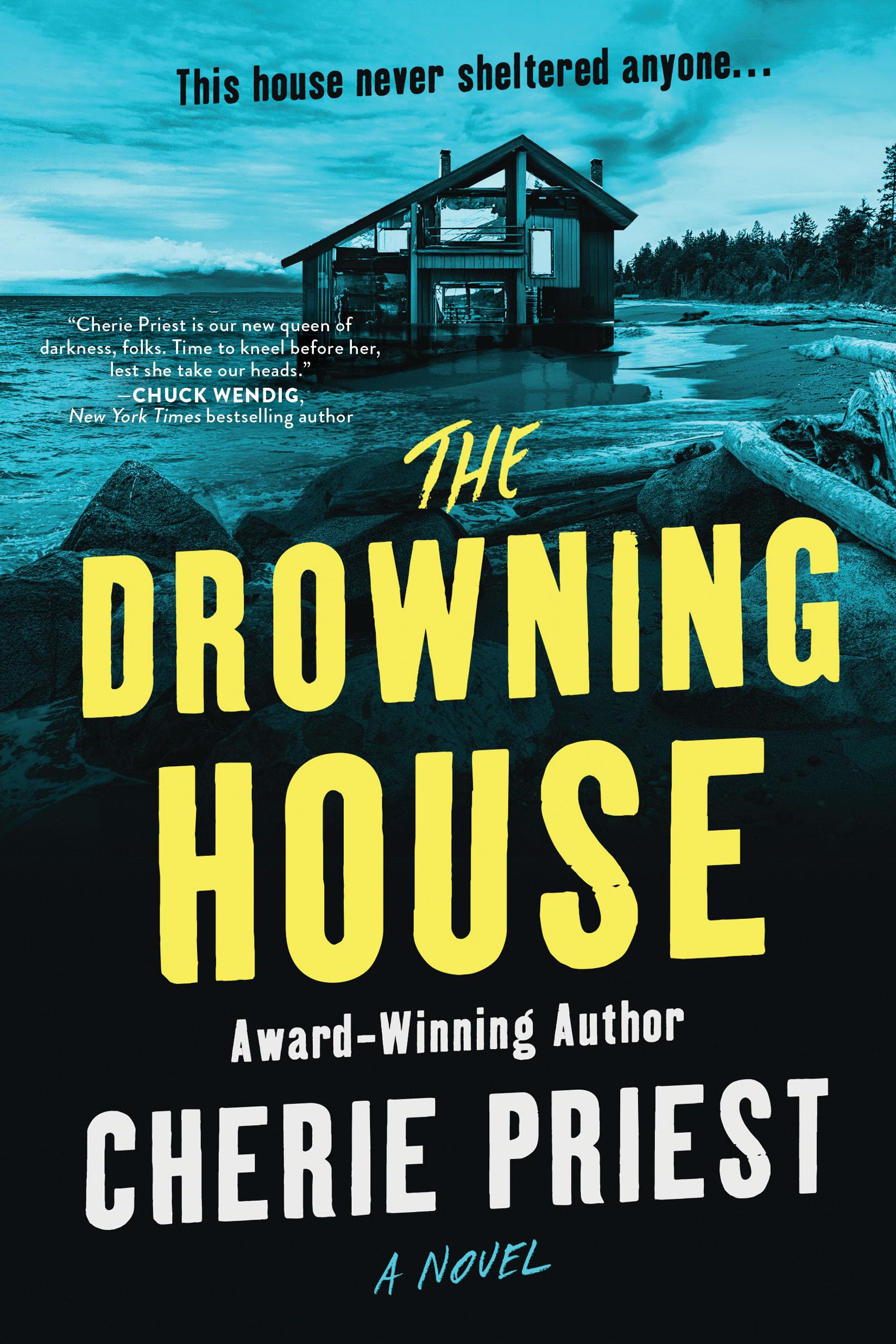 Product Image: The Drowning House