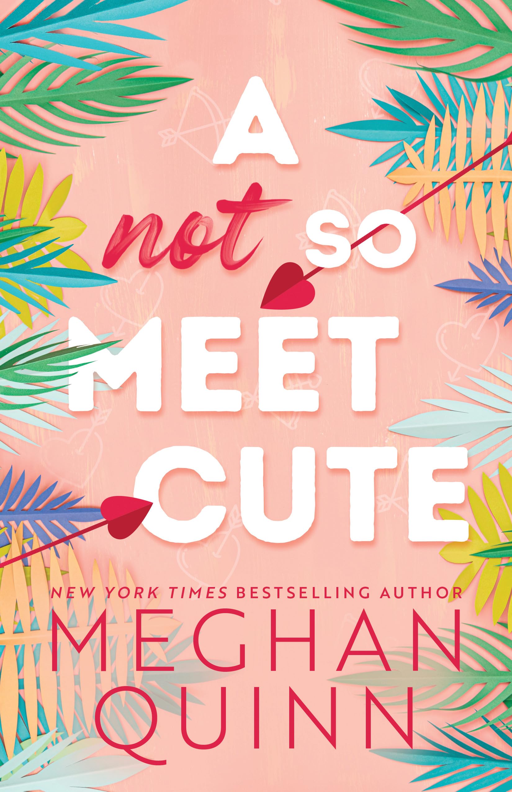 A Not So Meet Cute (Cane Brothers, 1) New Adult