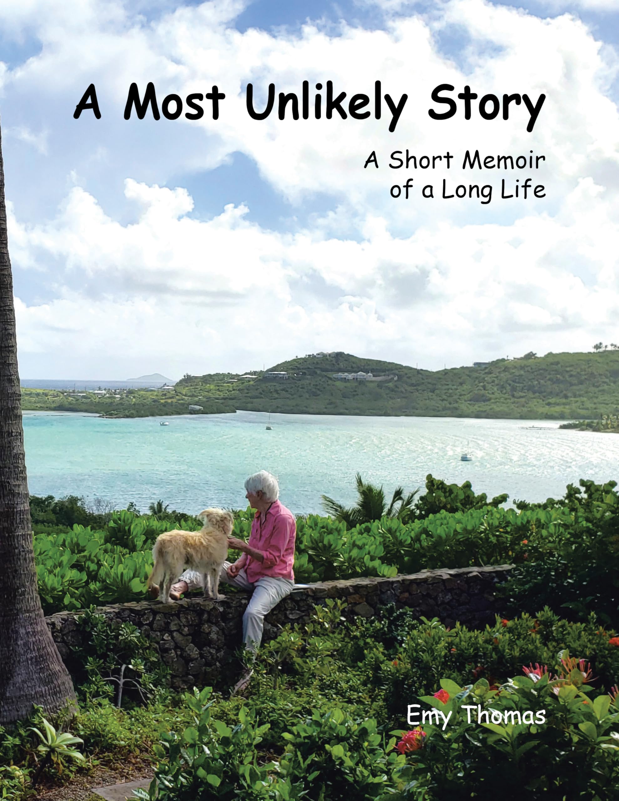 A Most Unlikely Story: A Short Memoir of a Long Life Art & Literature