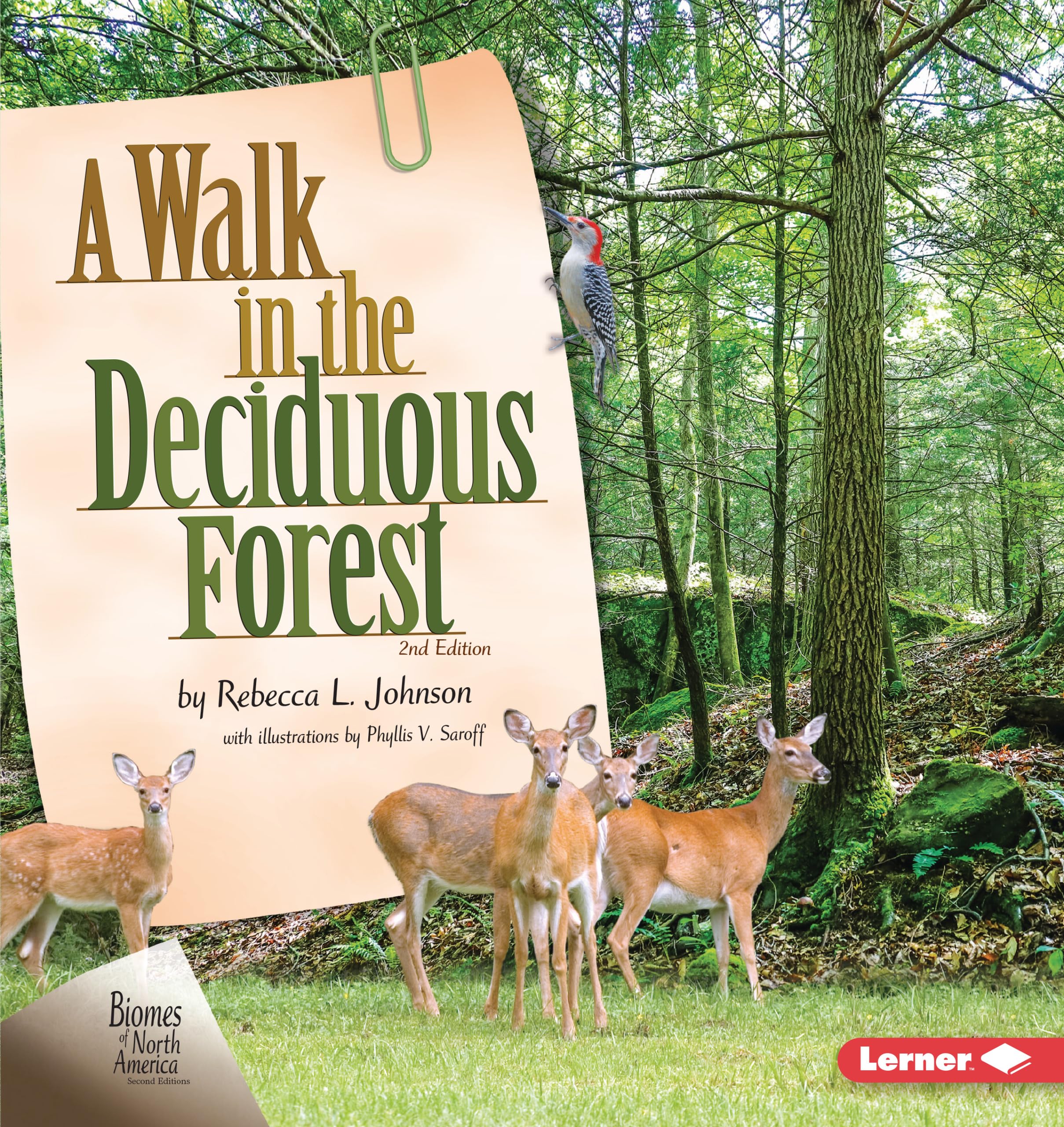 A Walk in the Deciduous Forest (Biomes of North America) Non-fiction
