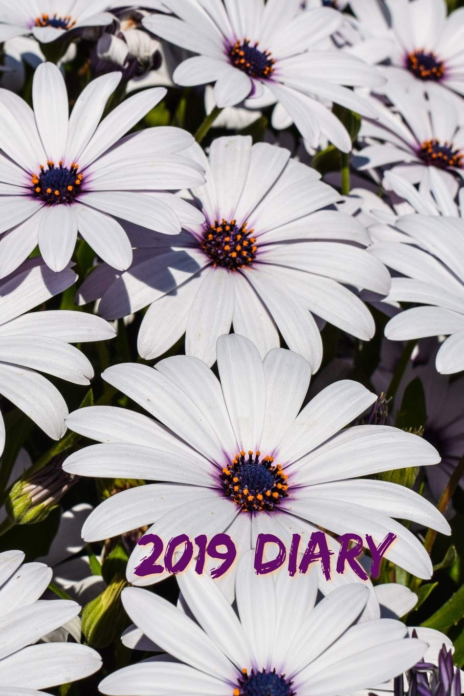 2019 Diary: African Daisies Page-a-Day Planner (6"x9" 390 pages A5) (Flower Diary 2019, Band 10) Social Sciences