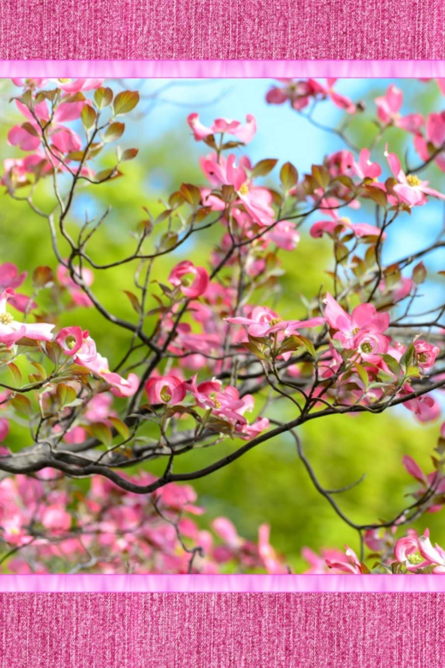Pink Dogwood Blossoms Journal: Flowering Dogwood Blooms on Branches with Denim and Ribbon Trim Contemporary literature