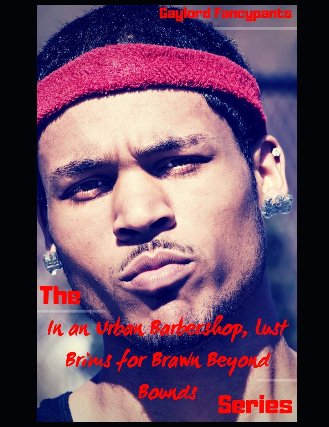 The 'In an Urban Barbershop, Lust Brims for Brawn Beyond Bounds' Series Contemporary literature