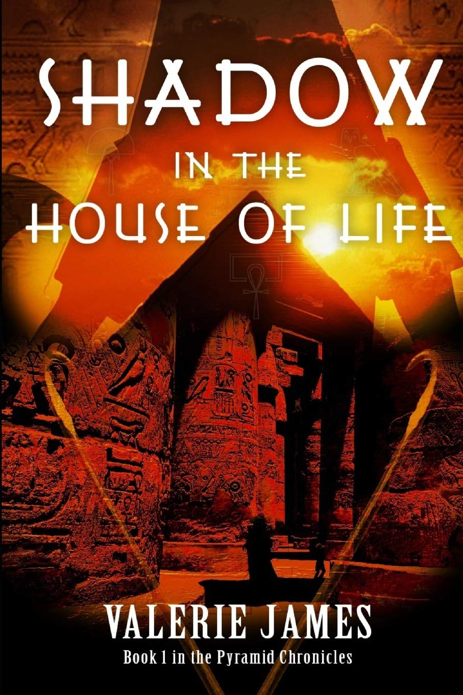 Shadow in the House of Life (Pyramid Chronicles, Band 1) Historical Fiction
