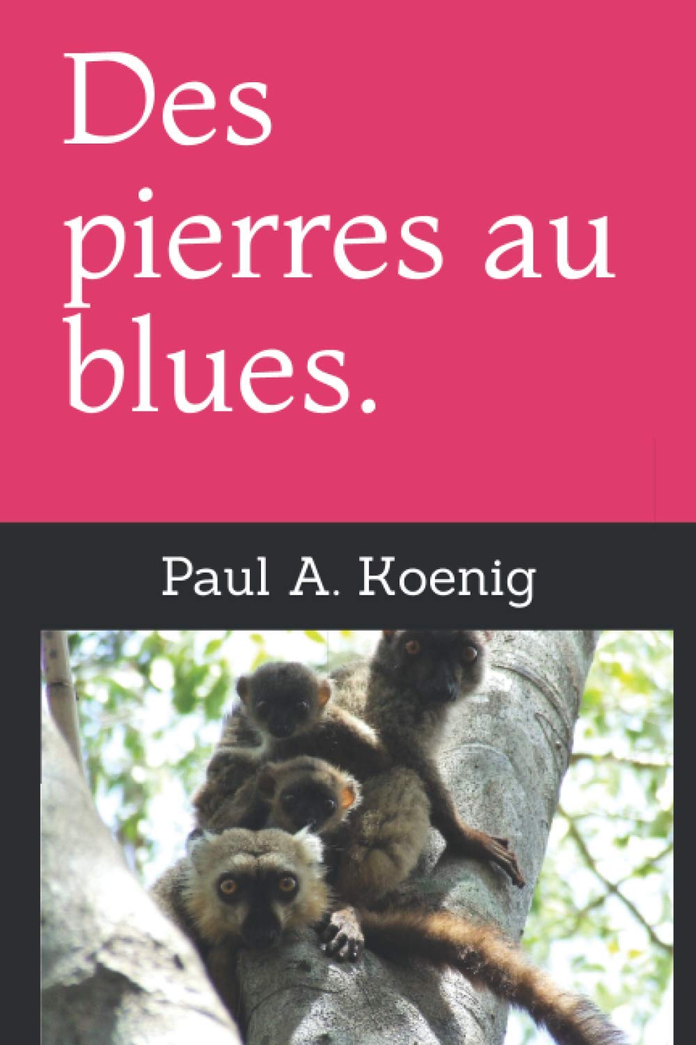 Des pierres au blues. book