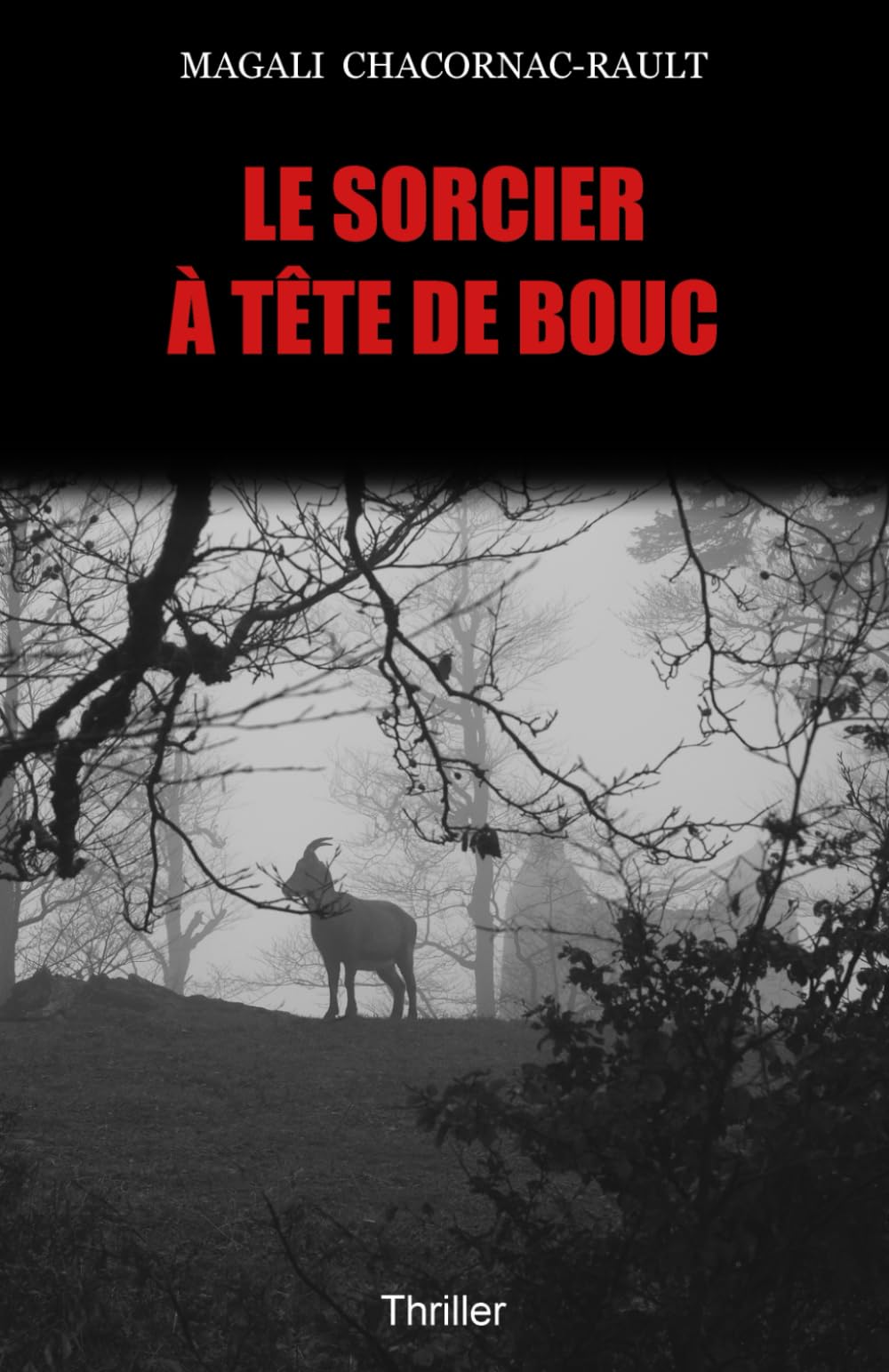 Le sorcier à tête de bouc (Les enquêtes de Matthew Colins et Anna Lafont) Action & Adventure