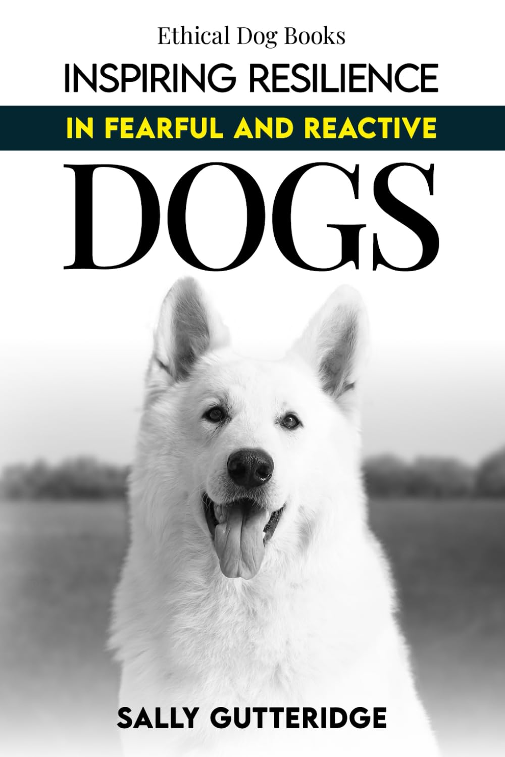 Inspiring Resilience in Fearful and Reactive Dogs (Ethical Dog Training Books) Mathematics