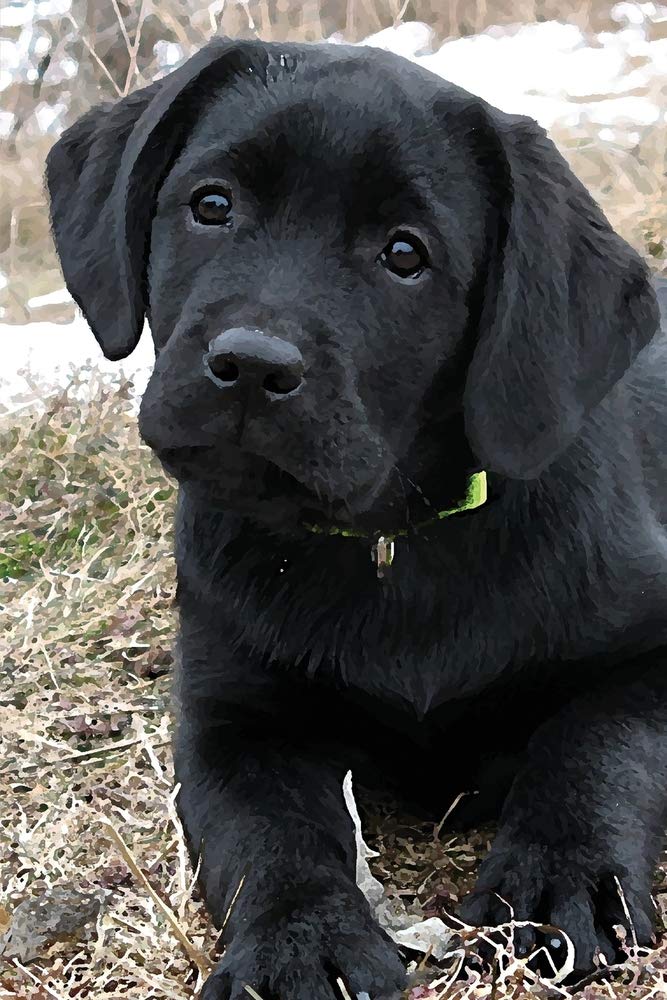 Black Lab Puppy Planner: Dog Wisdom Quotes (Awaiting Spring Undated Calendar Notebook 6x9, Band 1) Pets