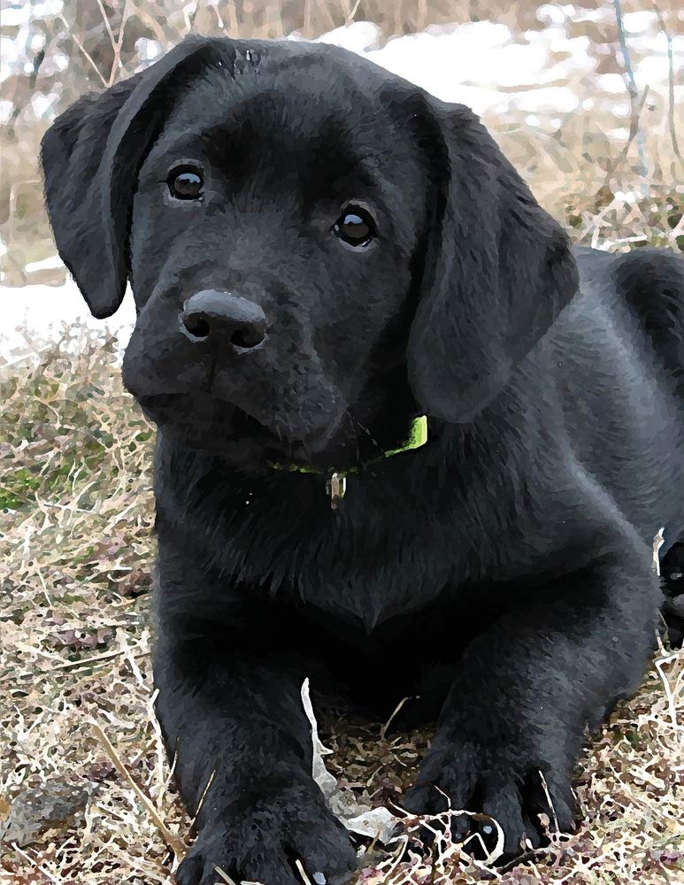 Black Labrador Puppy Calendar Notebook: Dog Wisdom Quotes (Awaiting Spring Undated Planner 8.5x11, Band 1) Pets