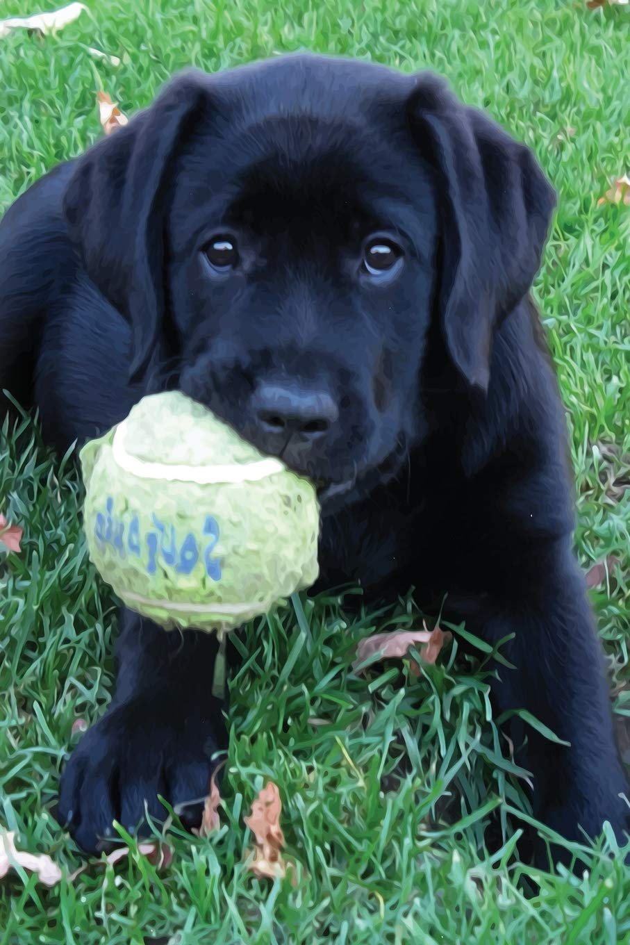 Black Lab Puppy Planner: Dog Wisdom Quotes (Play Ball Calendar Notebook 6x9 Undated, Band 1) Pets