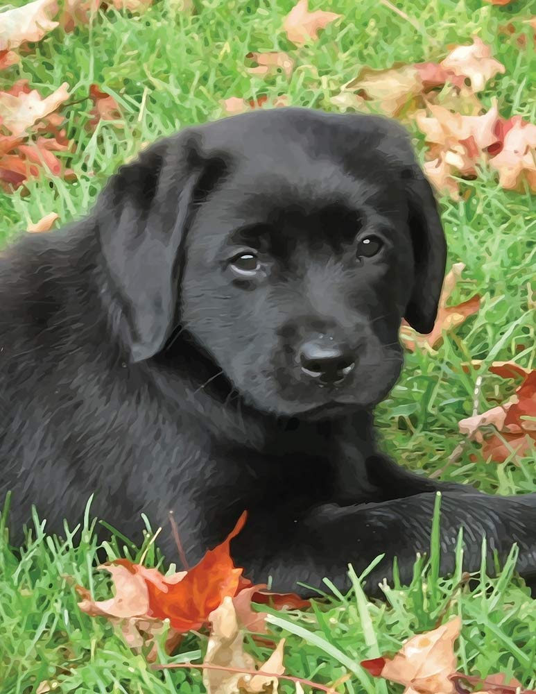 Black Labrador Puppy Calendar Notebook: Dog Wisdom Quotes (Autumn Joy Undated Planner 8.5x11, Band 1) Pets