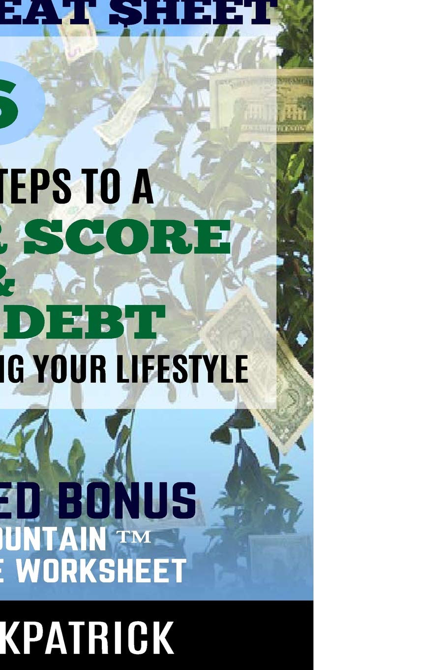 LIFE180 Credit Cheat Sheet: 6 Simple Steps to a Better Credit Score and Less Debt, Without Reducing Your Lifestyle! Business, Finance & Career