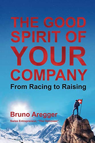 The Good Spirit of Your Company: From Racing to Raising book