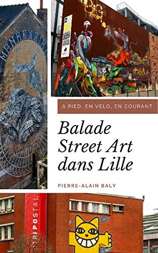 Balade Street Art dans Lille: A pied, en vélo, en courant book