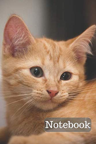 Notebook: with Cat on Cover. Notebook for Coloring Drawing and Writing (110 Pages, Blank, 6 x 9) Pets