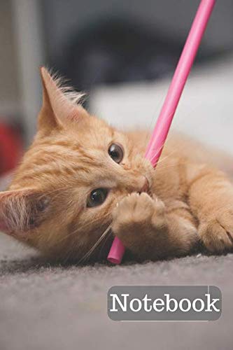 Notebook: with Cats for Kidsand for Adults. Notebook for Coloring Drawing and Writing (110 Pages, Blank, 6 x 9) Pets