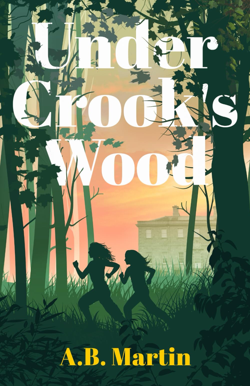 Under Crook's Wood: An adventure story for 9-13 year olds (Sophie Watson Adventure Mystery Series) book