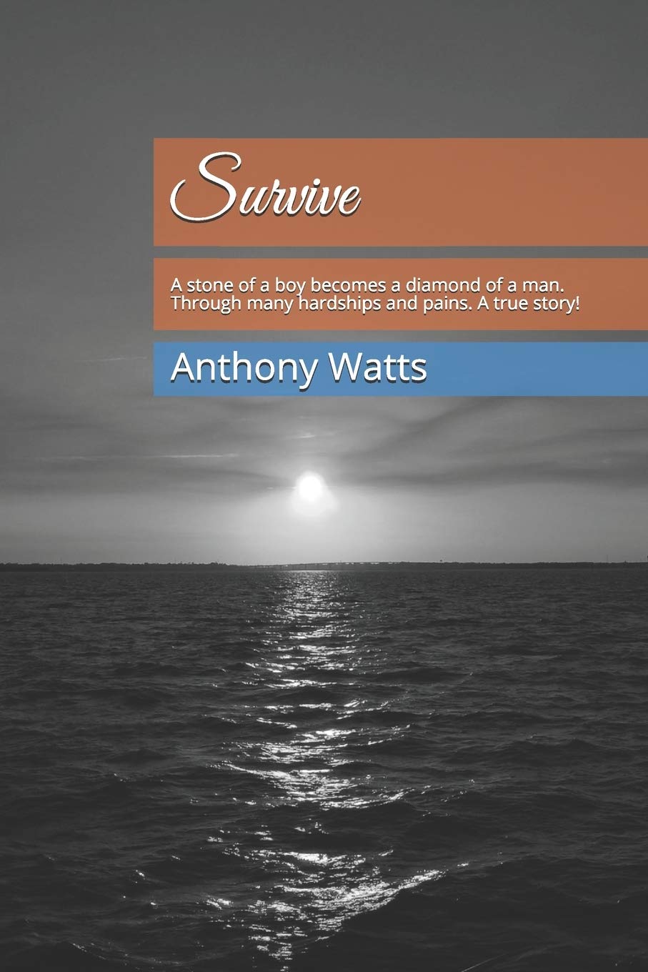Survive: A stone of a boy becomes a diamond of a man. Through many hardships and pains. A painstakingly true story! Memories
