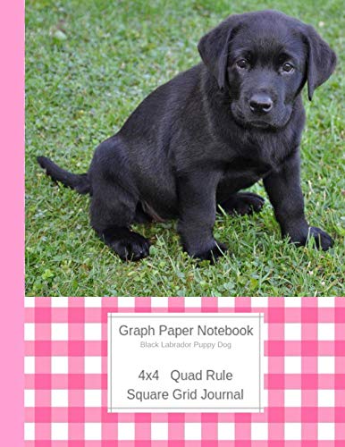 Graph Paper Notebook Black Labrador Puppy Dog: Large Quad Rule 4x4 Square Grid Journal (Graph Paper 4x4 Book, Band 5) Pets