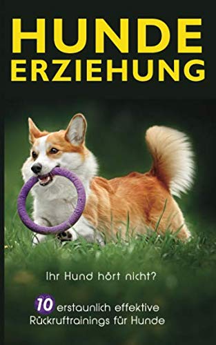 Hundeerziehung: Ihr Hund hört nicht? 10 erstaunlich effektive Rückruftrainings für Hunde Pets