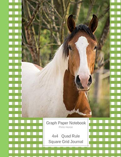 Graph Paper Notebook Pinto Horse: Large Quad Rule 4x4 Square Grid Journal (Graph Paper 4x4 Book, Band 10) Pets