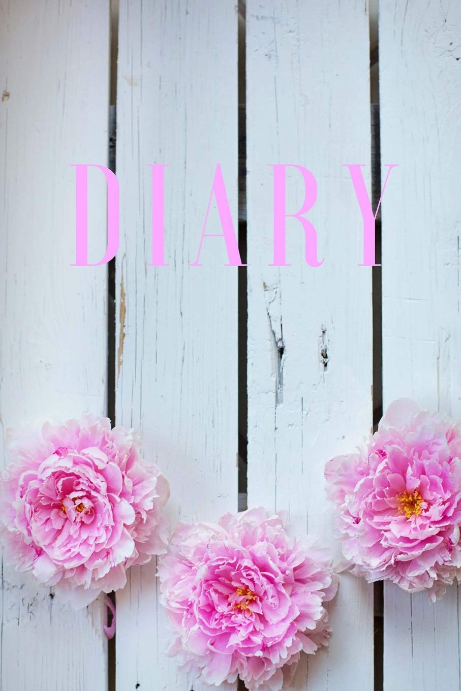 Diary: This Diary Consist of 100 pages 6 x 9 blank lined,compact to carry anywhere suitable for everyday use Self-help
