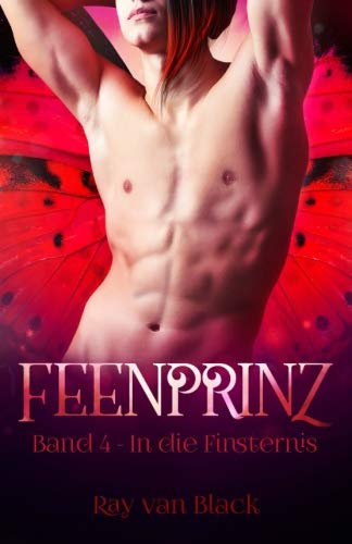 Feenprinz - Band 4: In die Finsternis - Gay Fantasy (Feenprinz-Reihe, Band 4) LGBTQ+